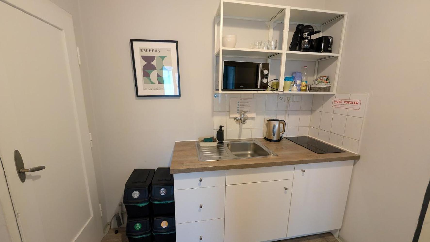 Flat In Zizkov -302- Prague